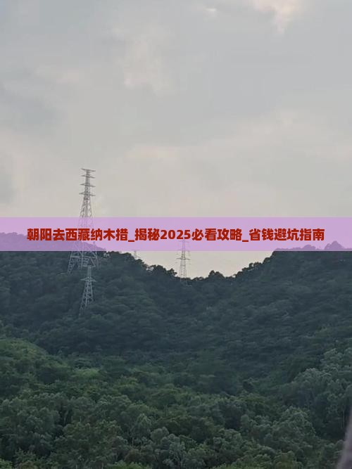 朝阳去西藏纳木措大型旅游团