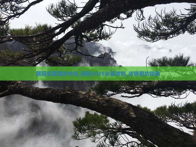 朝阳去西藏纳木措大型旅游团
