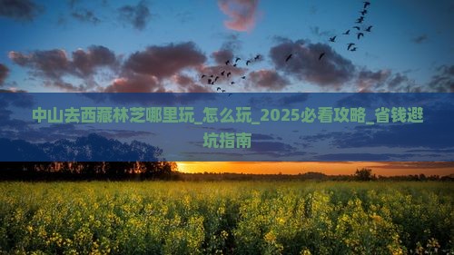 中山去西藏林芝哪里玩
