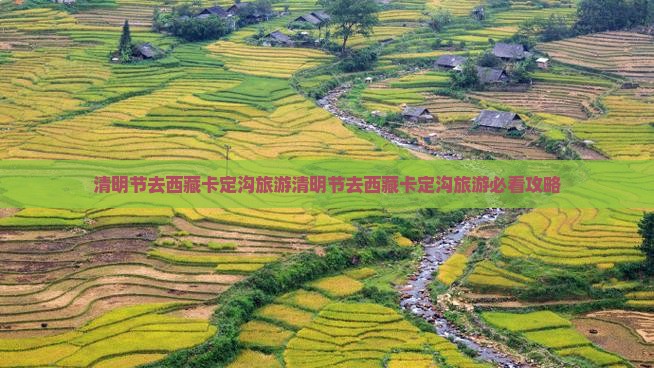 清明节去西藏卡定沟旅游