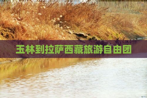 玉林去西藏拉萨自由团