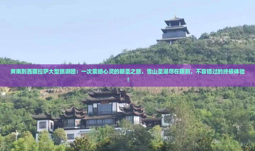 黄南到西藏拉萨大型旅游团