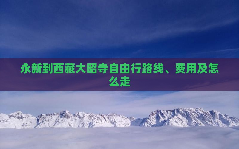 永新到西藏大昭寺自由行