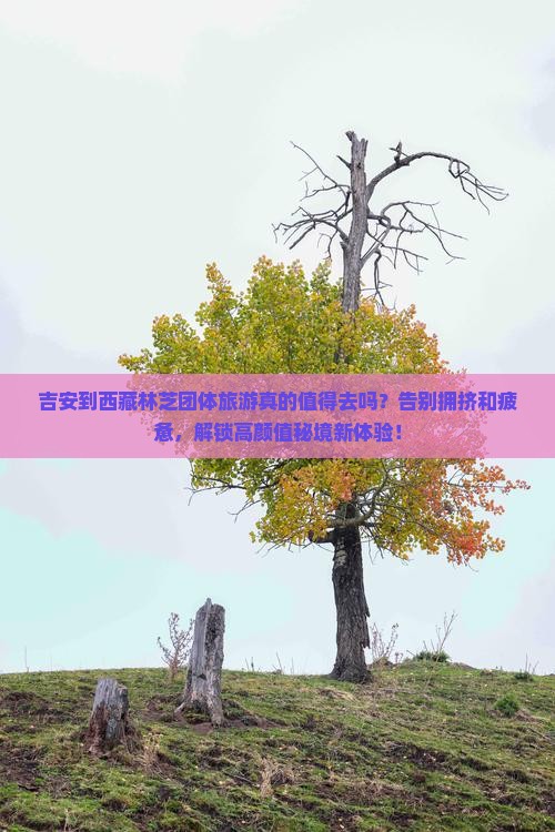 吉安到西藏林芝团体旅游