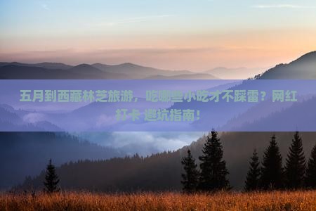 五月到西藏林芝旅游小吃