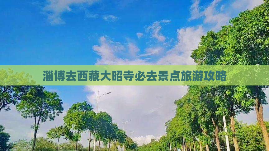 淄博去西藏大昭寺必去地