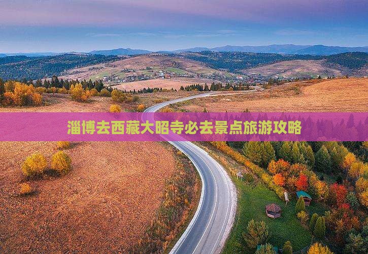 淄博去西藏大昭寺必去地