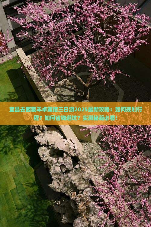 宜昌去西藏羊卓雍措三日游