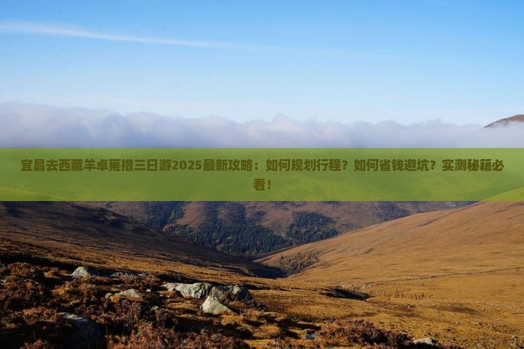 宜昌去西藏羊卓雍措三日游