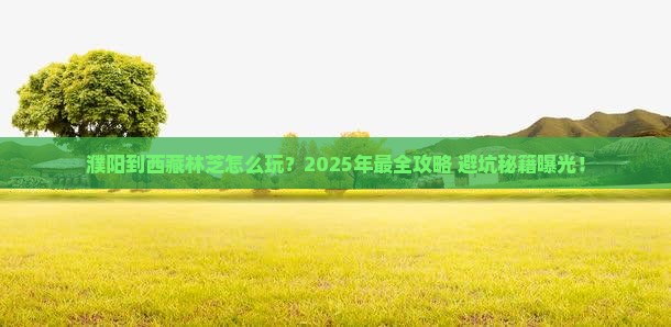 濮阳到西藏林芝景点