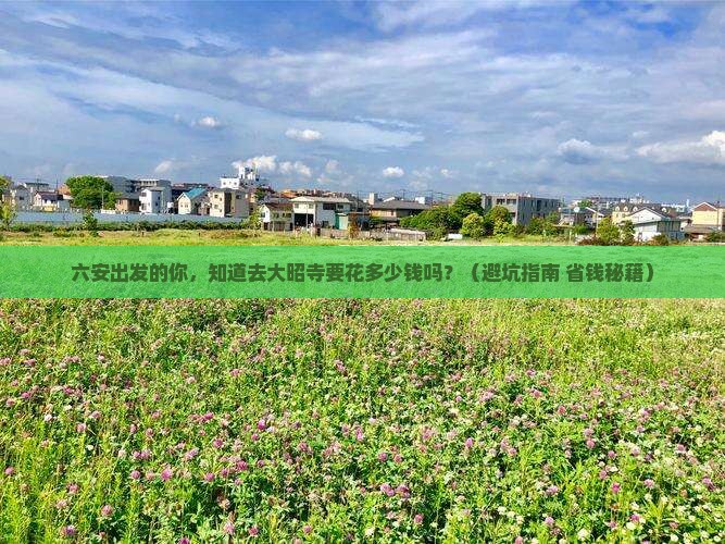 六安到西藏大昭寺大型旅游团