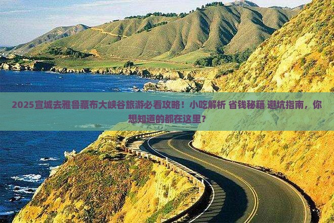 宣城去西藏雅鲁藏布大峡谷旅游小吃