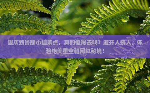 肇庆到西藏鲁朗小镇景点