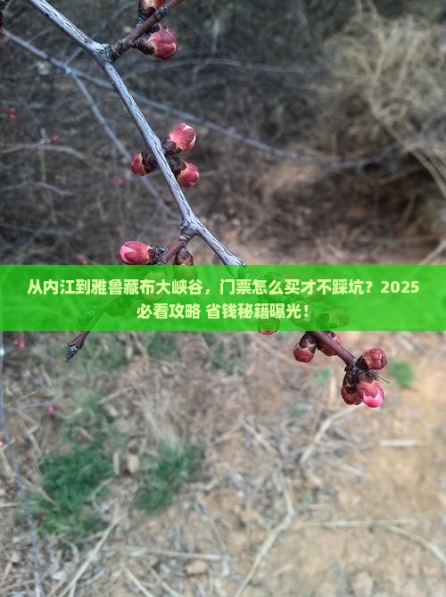 内江到西藏雅鲁藏布大峡谷门票