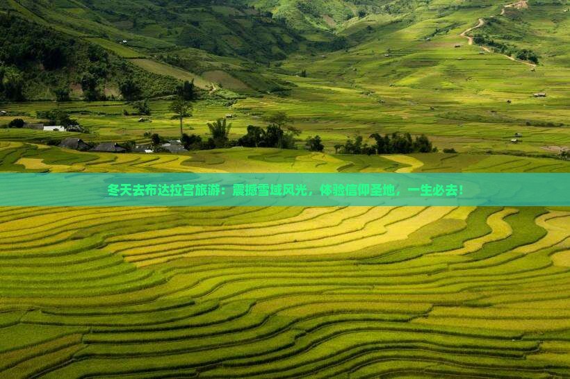 冬天去西藏布达拉宫旅游