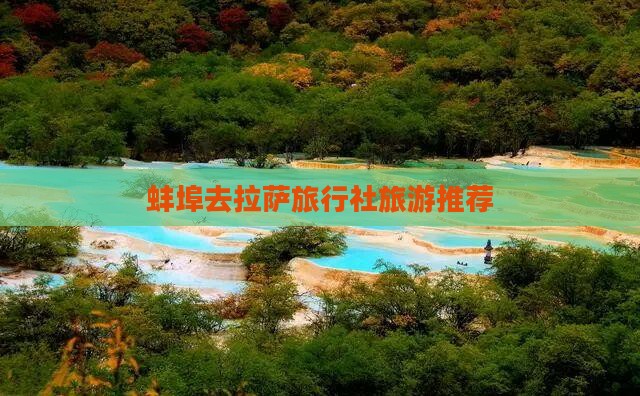 蚌埠去西藏拉萨旅行社 蚌埠去西藏拉萨旅行社