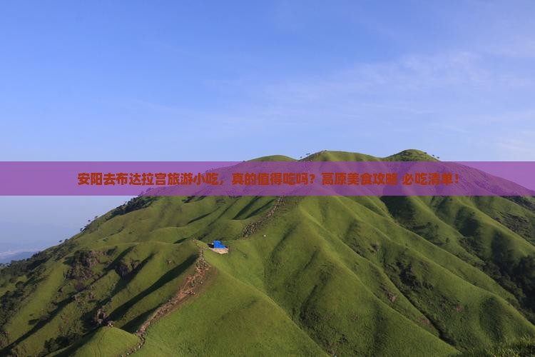 安阳去西藏布达拉宫旅游小吃