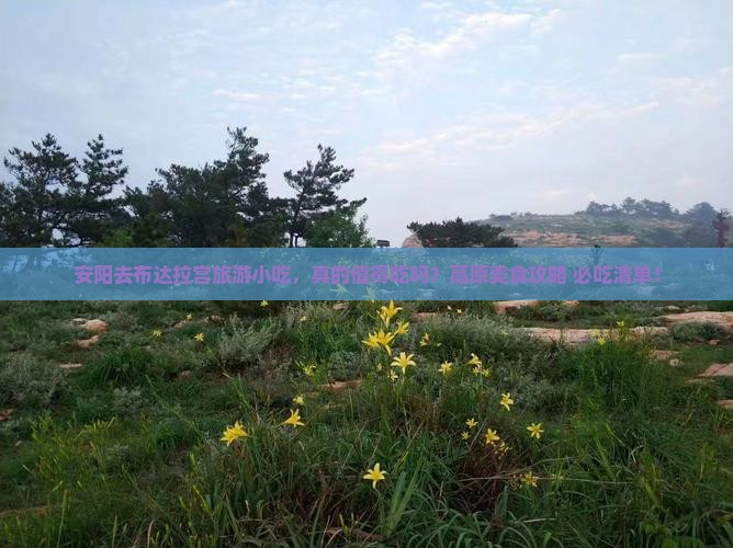 安阳去西藏布达拉宫旅游小吃