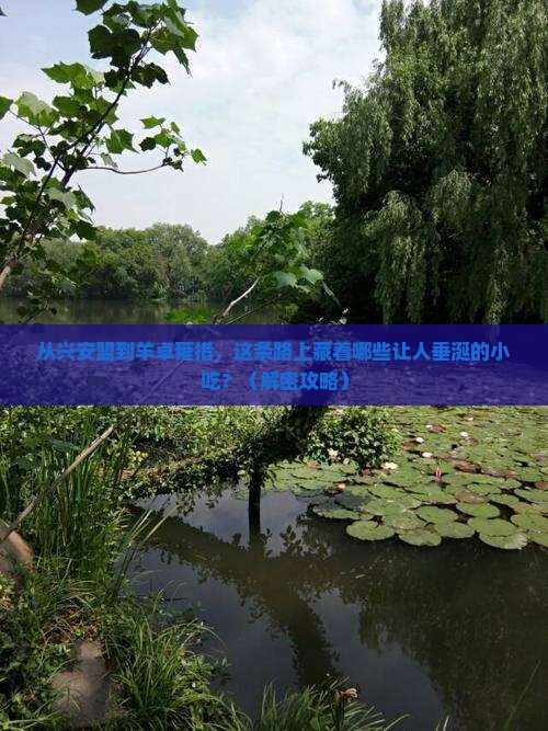 兴安盟到西藏羊卓雍措旅游小吃