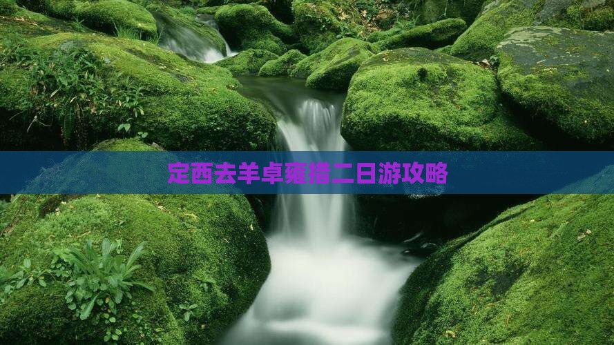 定西去西藏羊卓雍措二日游