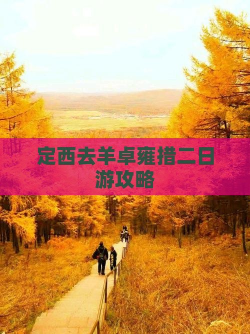 定西去西藏羊卓雍措二日游