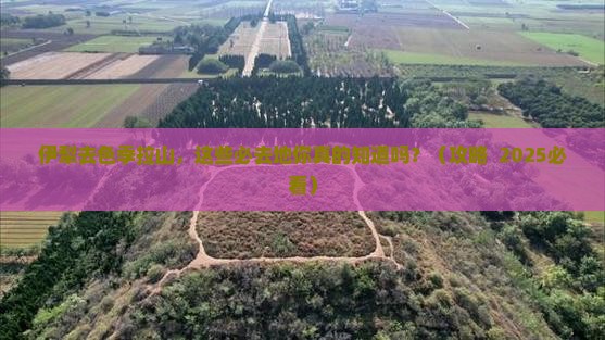 伊犁去西藏色季拉山必去地 伊犁去西藏色季拉山必去地