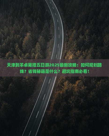 天津到西藏羊卓雍措五日游