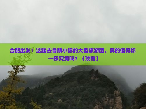 合肥到西藏鲁朗小镇大型旅游团