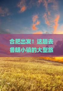 合肥到西藏鲁朗小镇大型旅游团