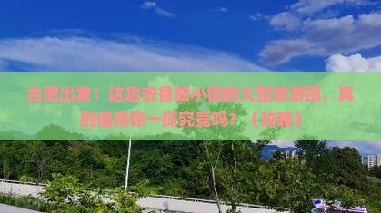 合肥到西藏鲁朗小镇大型旅游团