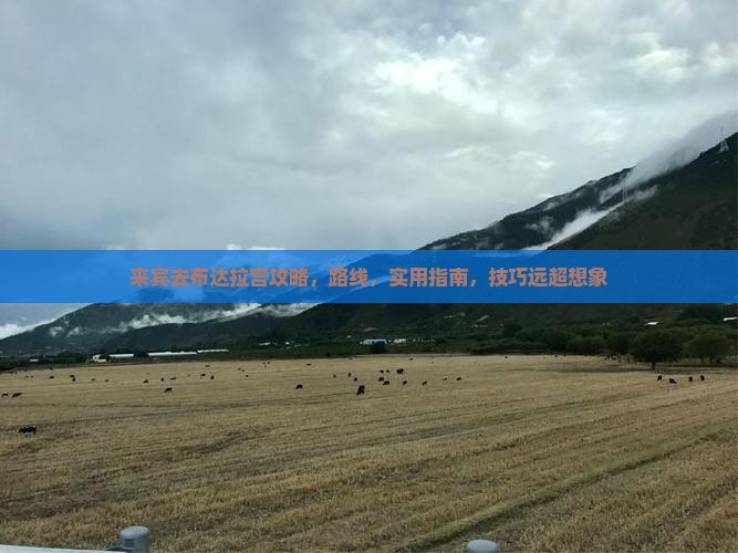 来宾去西藏布达拉宫攻略 来宾去西藏布达拉宫攻略