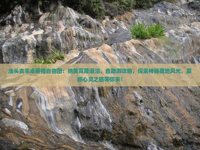 汕头去西藏羊卓雍措自由团