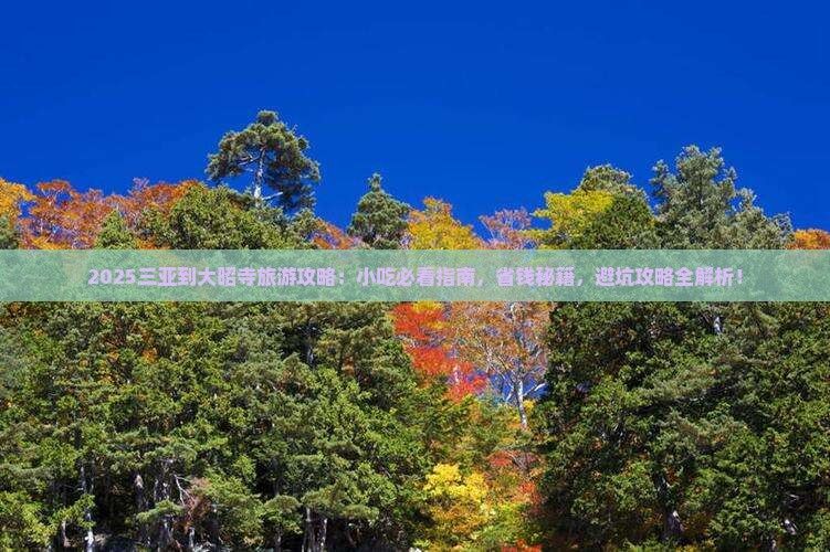 三亚到西藏大昭寺旅游小吃