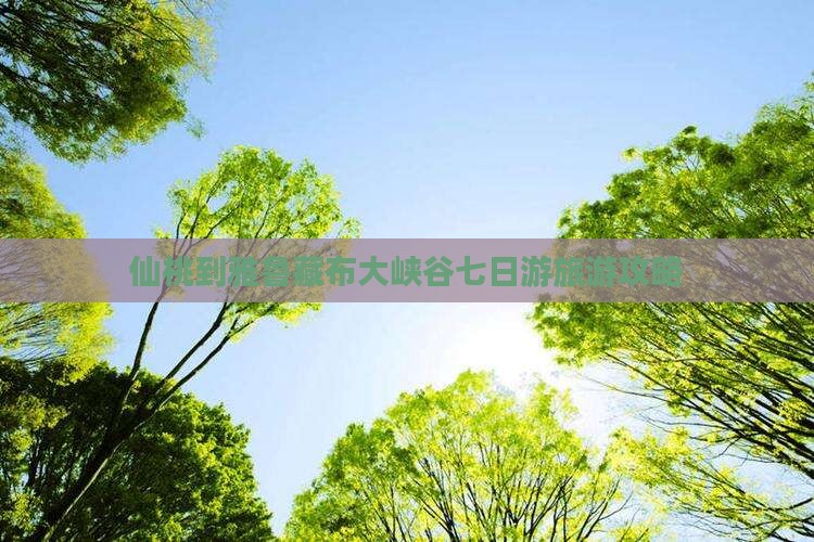 仙桃到西藏雅鲁藏布大峡谷七日游