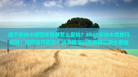 遂宁到西藏纳木措团体旅游