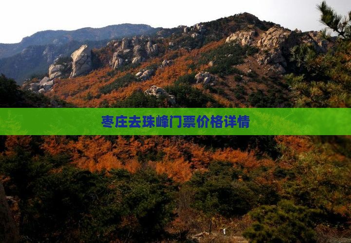 枣庄去珠峰门票价格详情