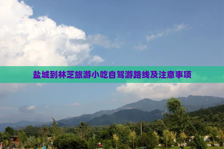 盐城到林芝旅游小吃自驾游路线及注意事项
