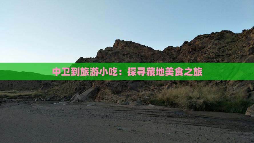 中卫到旅游小吃：探寻藏地美食之旅