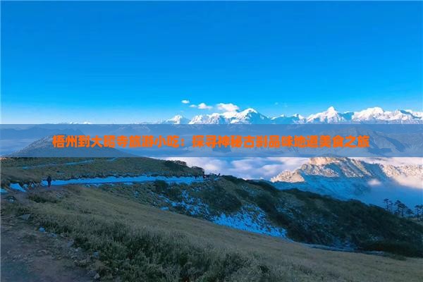 梧州到大昭寺旅游小吃：探寻神秘古刹品味地道美食之旅