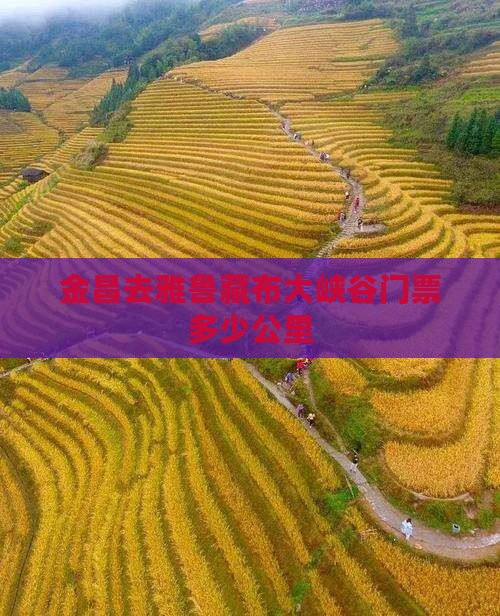 金昌去雅鲁藏布大峡谷门票多少公里