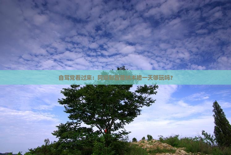 阿坝到西藏纳木措一日