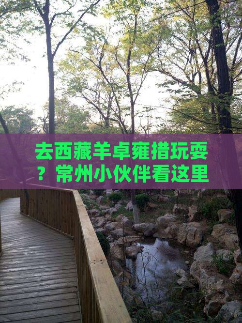 常州去西藏羊卓雍措哪里玩