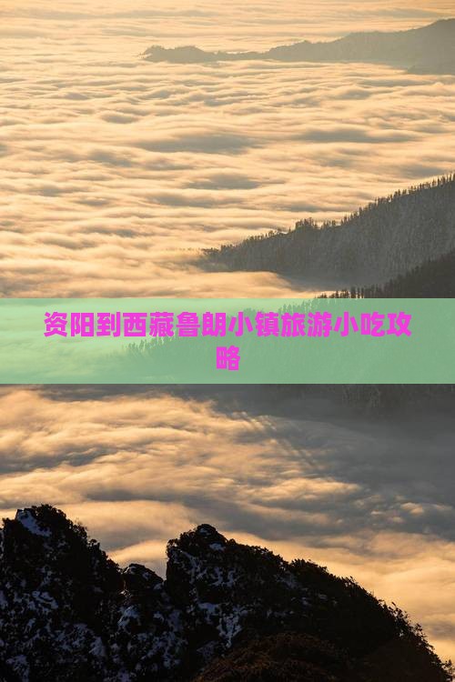 资阳到西藏鲁朗小镇旅游小吃