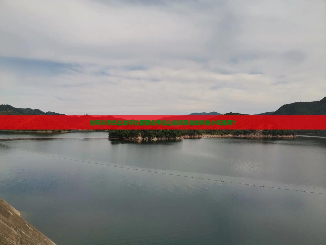 青岛到西藏色季拉山旅游小吃