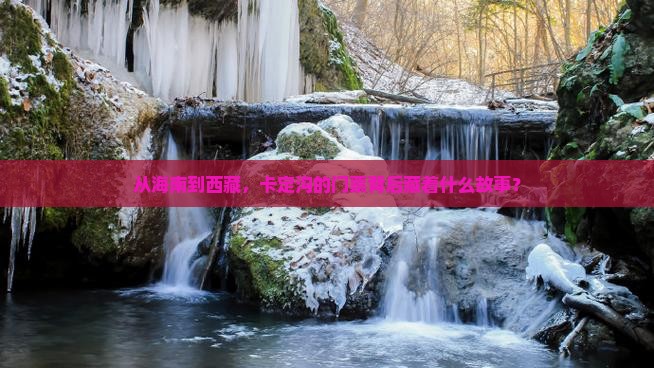 海南去西藏卡定沟门票