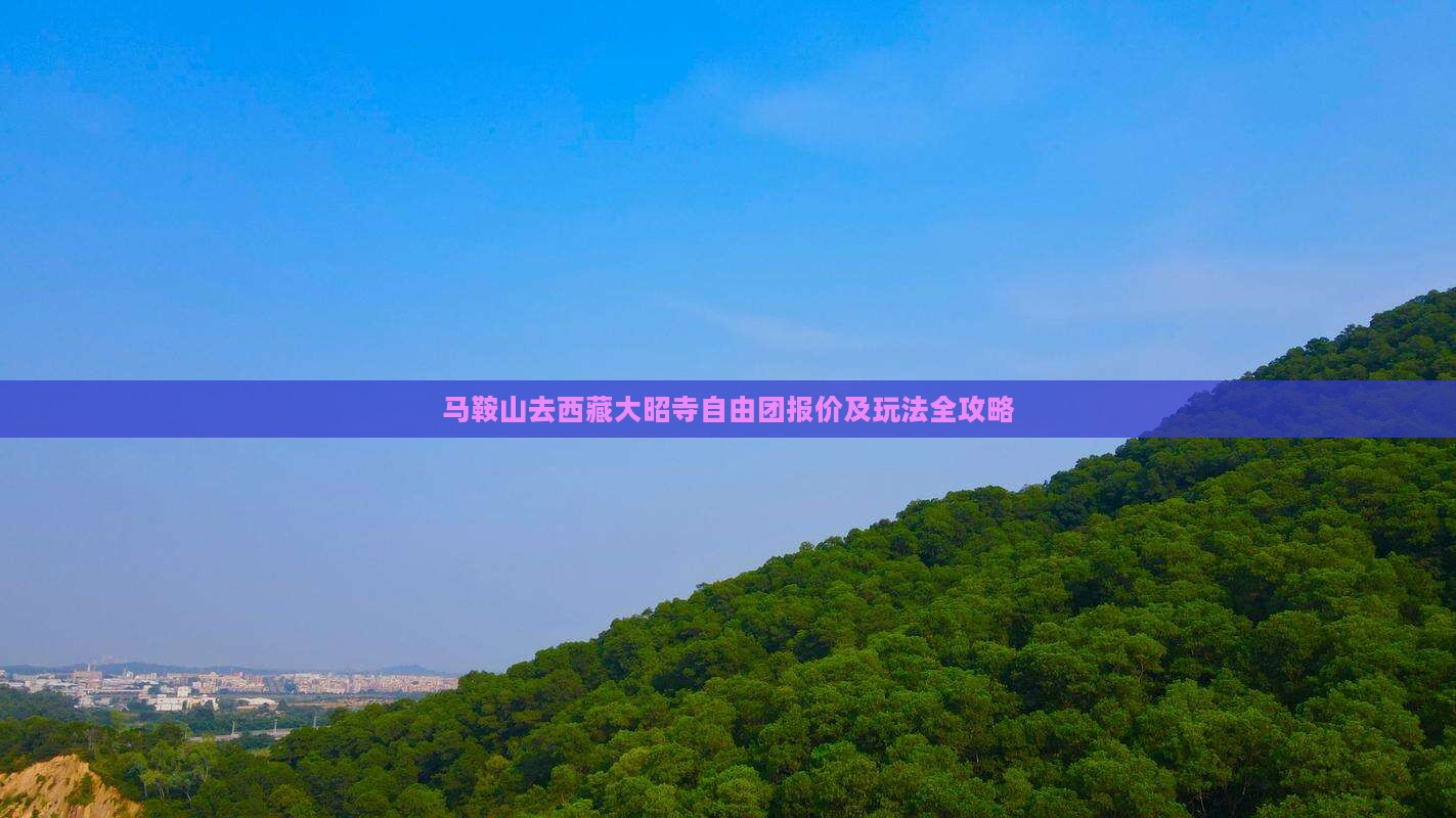 马鞍山去西藏大昭寺自由团