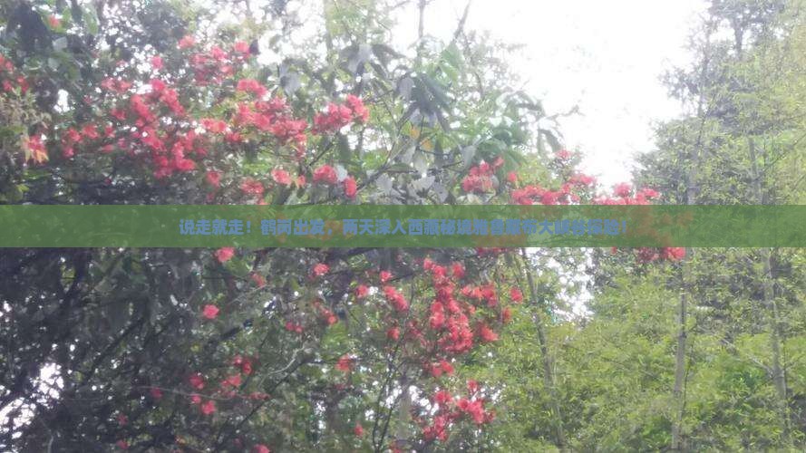 鹤岗去西藏雅鲁藏布大峡谷二日游