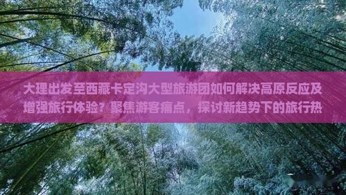 大理到西藏卡定沟大型旅游团 大理到西藏卡定沟大型旅游团