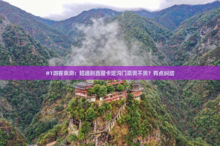昭通去西藏卡定沟门票