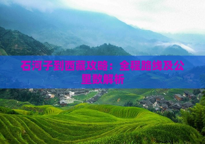 石河子到西藏攻略